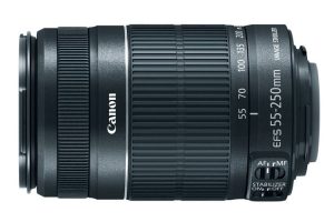 The Best Affordable Lenses for Canon DSLR Cameras