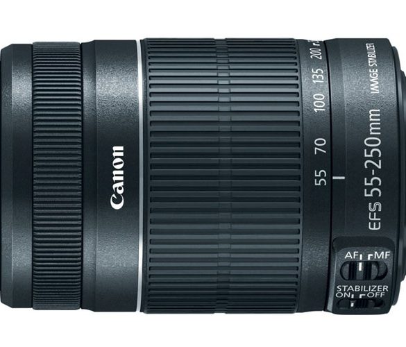 The Best Affordable Lenses for Canon DSLR Cameras