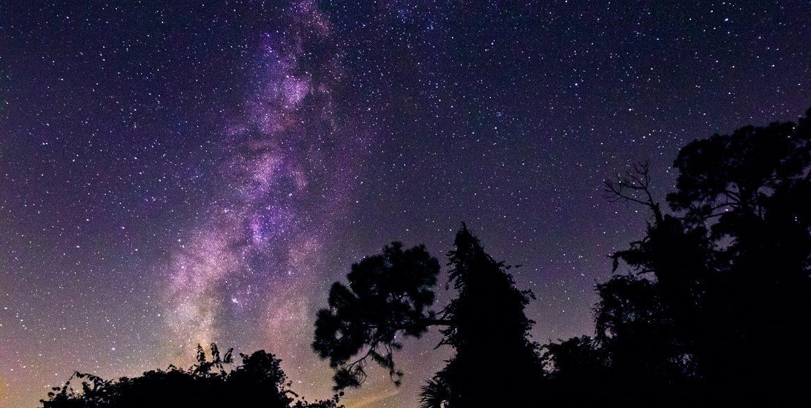 Milky Way over the Pines