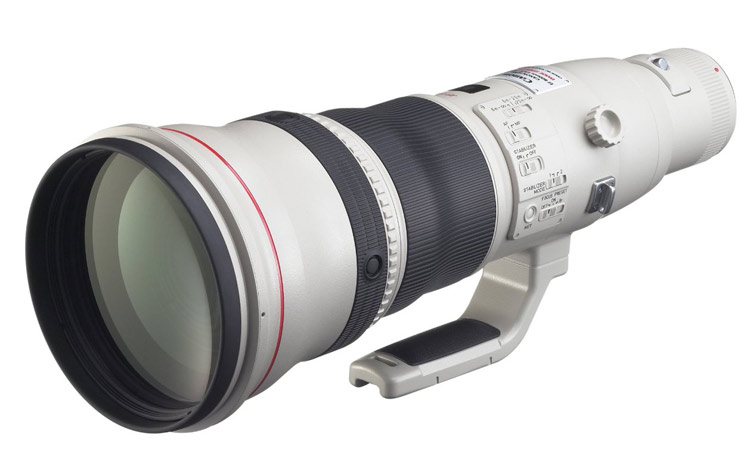 The huge Canon EF 800mm f/5.6L IS USM Super Telephoto Lens has the power to fill a frame with even the most distant wildlife, but it comes at a steep price, selling for more than $13,000. 