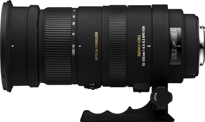 A favorite among many wildlife photographers, the Sigma 50-500mm f/4.5-6.3 lens delivers sharp results and is reasonably priced.