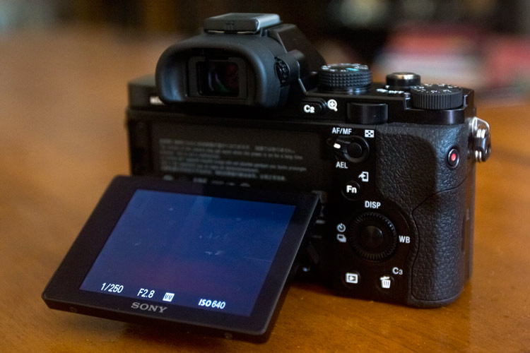 Sony A7 Review — First Impressions » ItsJustLight.com