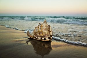 Ricoh GR Review: Seashell at Sunset