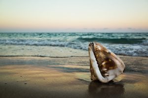 Ricoh GR Review: Seashell at Sunset