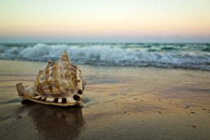 Ricoh GR Review: Seashell at Sunset