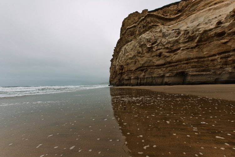 How Histograms Work: Coastal Fog