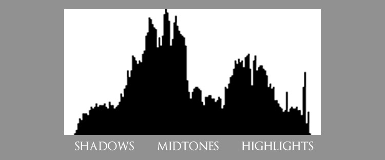 Digital Camera Histogram