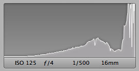 How Camera Histograms Work: Overexposed Photo Histogram 