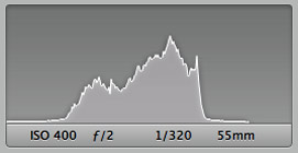 How Histograms Work: Conch Shell at Sunset Histogram