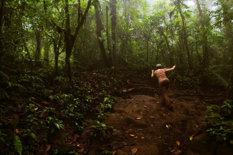 Rainforest Photography Tutorial: Hiking Along a Muddy Trail in the Rainforest