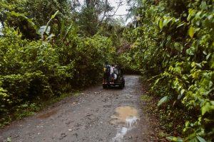 Rainforest Photography Tutorial: A Muddy Road in the Jungle