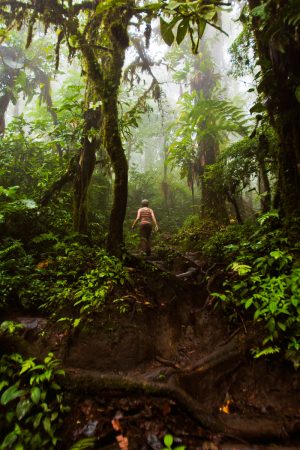 Rainforest Photography Tutorial: Hiking Along a Muddy Trail in the Rainforest