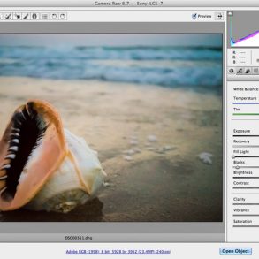 RAW Processing in Adobe Camera RAW