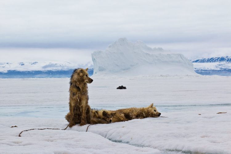 Cold Weather Photography Tips: Arctic Canada