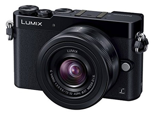 Best Travel Cameras: Panasonic Lumix DMC GM5