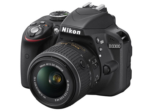 Best Travel Camera: Nikon D3300