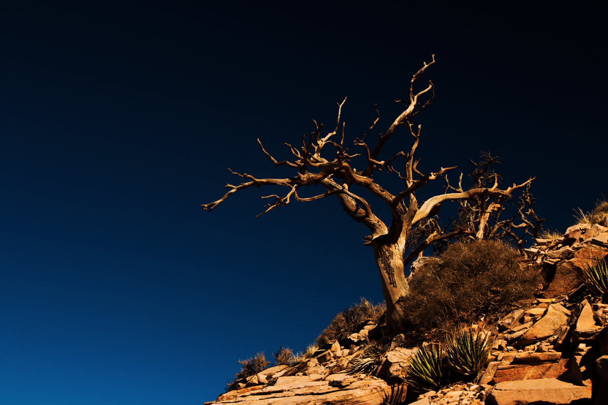 10 National Parks Every Photographer Should Visit: Grand Canyon National Park