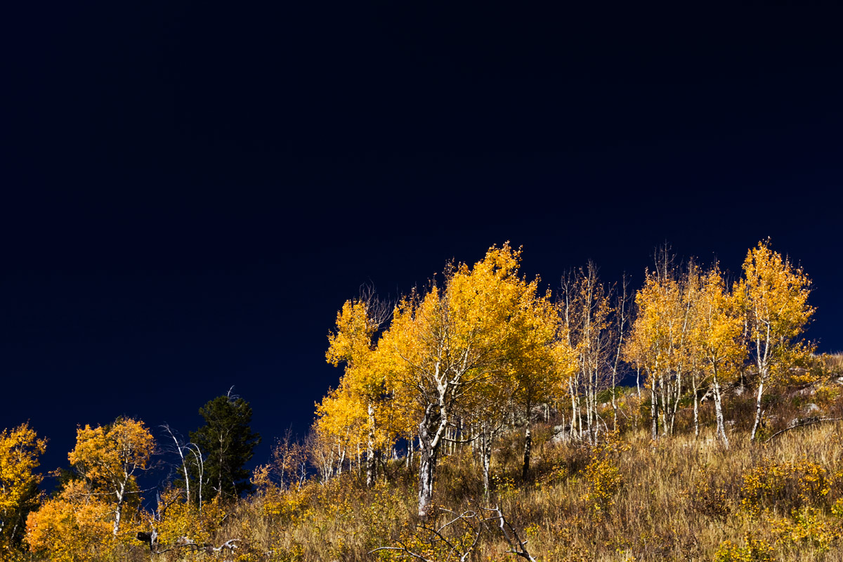 10 National Parks Every Photographer Should Visit: Grand Teton National Park