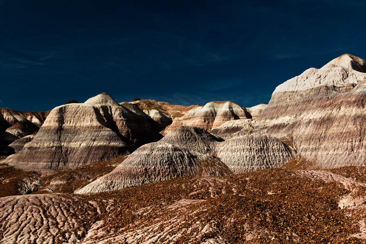 10 National Parks Every Photographer Should Visit: Petrified Forest National Park