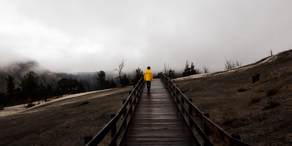 Rainy Day Photography in Yellowstone National Park