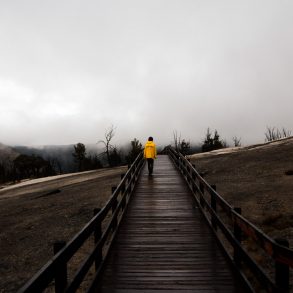 Rainy Day Photography in Yellowstone National Park