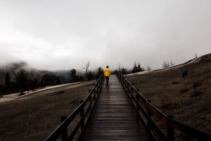 Rainy Day Photography in Yellowstone National Park