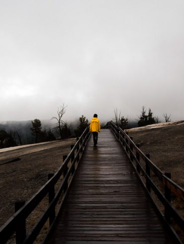 Rainy Day Photography in Yellowstone National Park