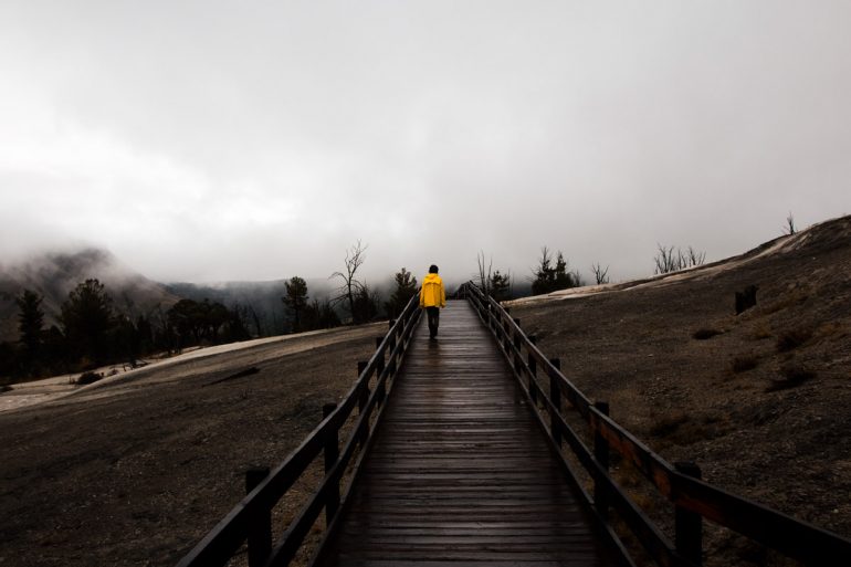 Rainy Day Photography in Yellowstone National Park