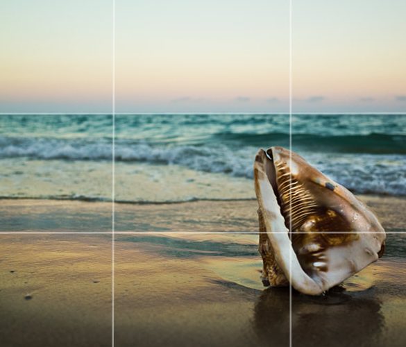 What is the Rule of Thirds in Photography?