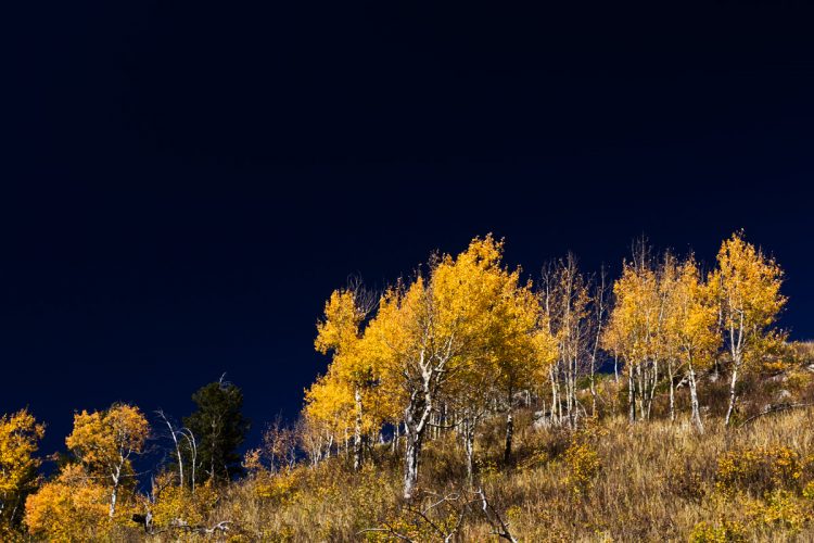 Grand-Teton-National-Park-Fall-Colors