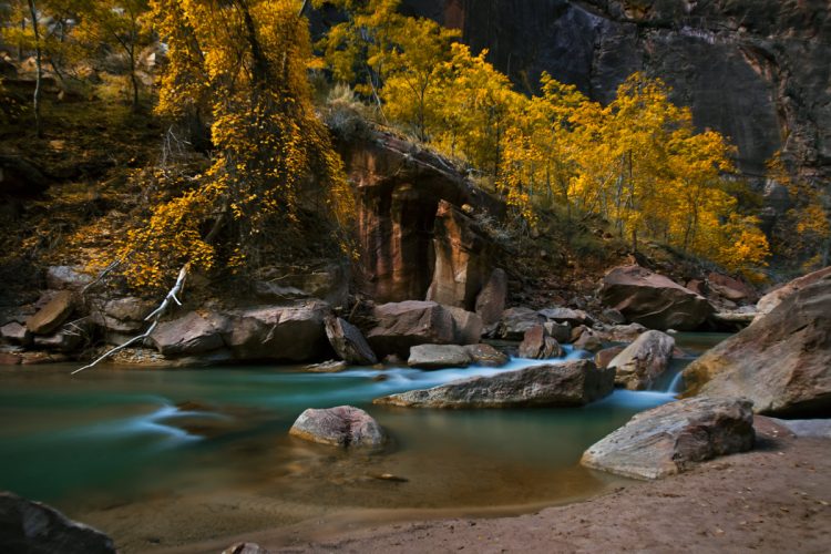 Zion-National-Park-Fall-Colors