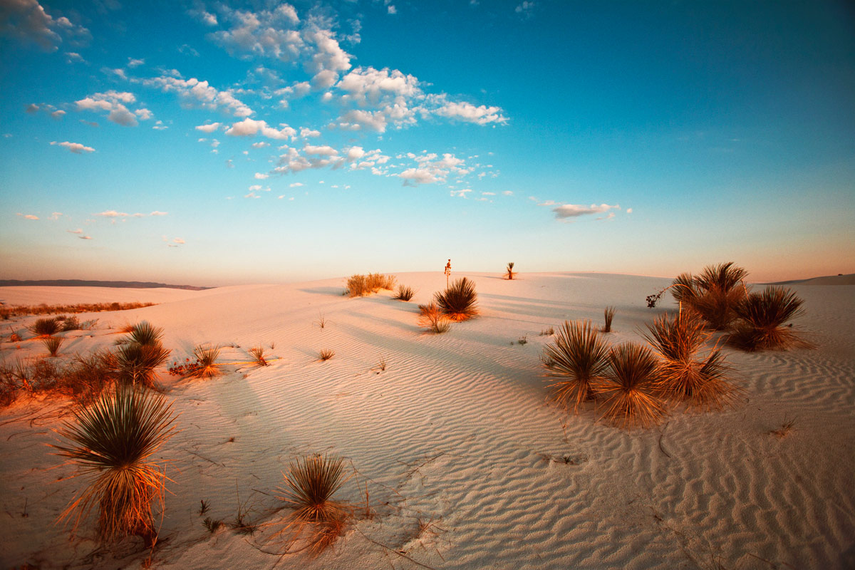 White Sands National Monument at Sunset