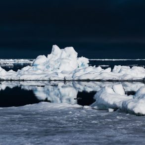 arctic icebergs drifting in the ocean