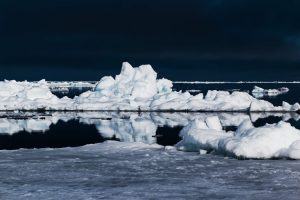 arctic icebergs drifting in the ocean