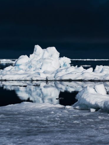 arctic icebergs drifting in the ocean