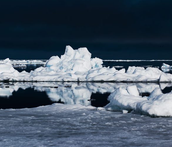 arctic icebergs drifting in the ocean