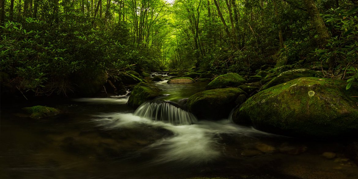 Great Smoky Mountains National Park River