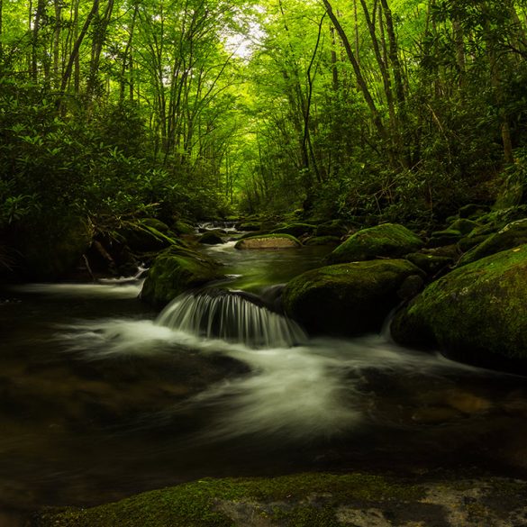 Great Smoky Mountains National Park River