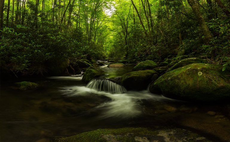 Great Smoky Mountains National Park River