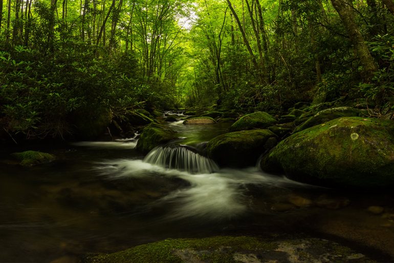 Great Smoky Mountains National Park River