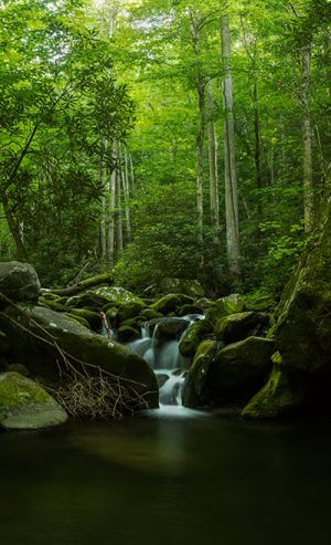 Great Smoky Mountains National Park Waterfall