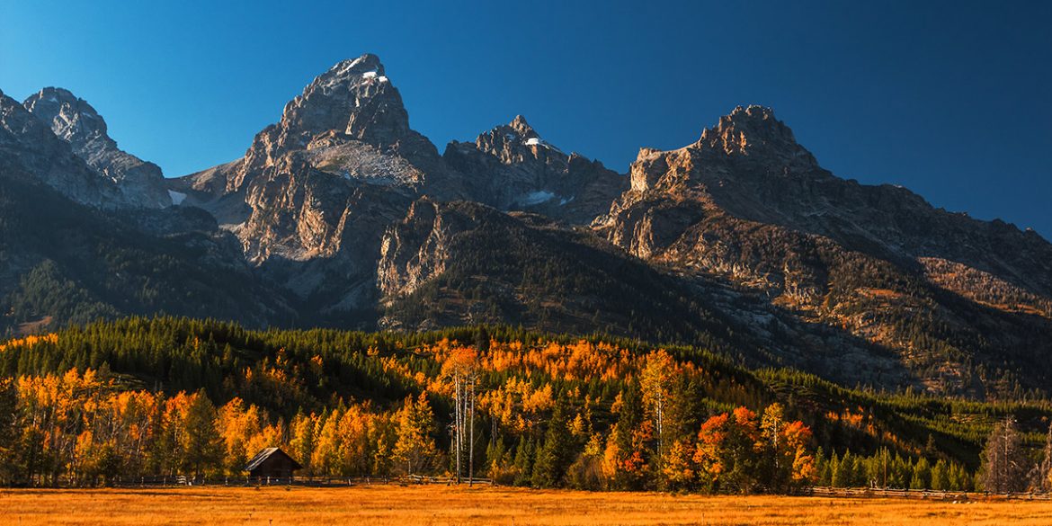 How to Photograph Fall Colors