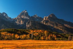 How to Photograph Fall Colors