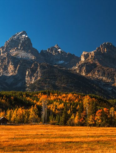 How to Photograph Fall Colors