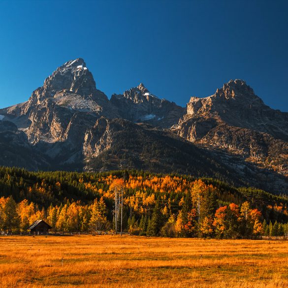 How to Photograph Fall Colors