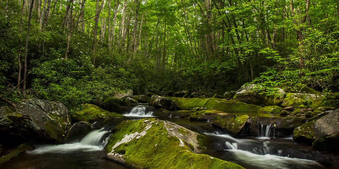 Great Smoky Mountains National Park Waterfall