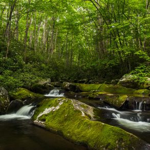 Great Smoky Mountains National Park Waterfall