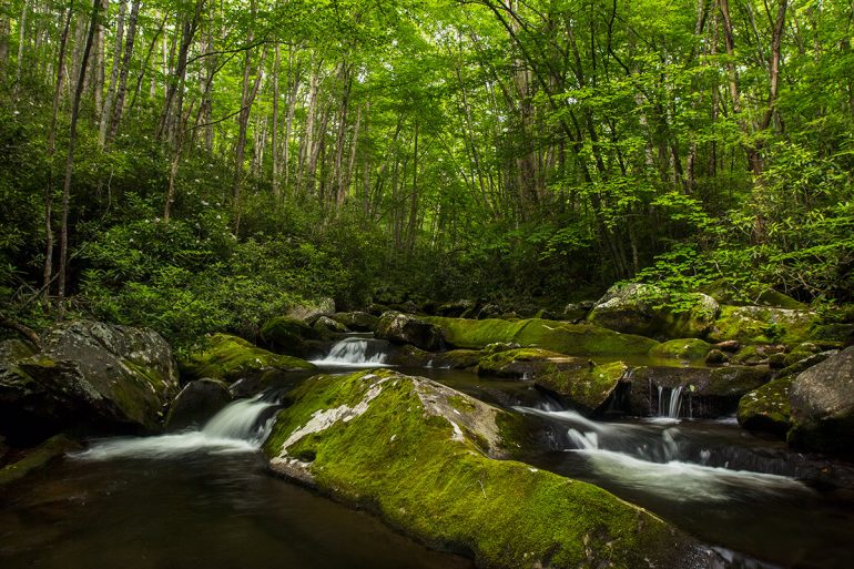 Great Smoky Mountains National Park Waterfall