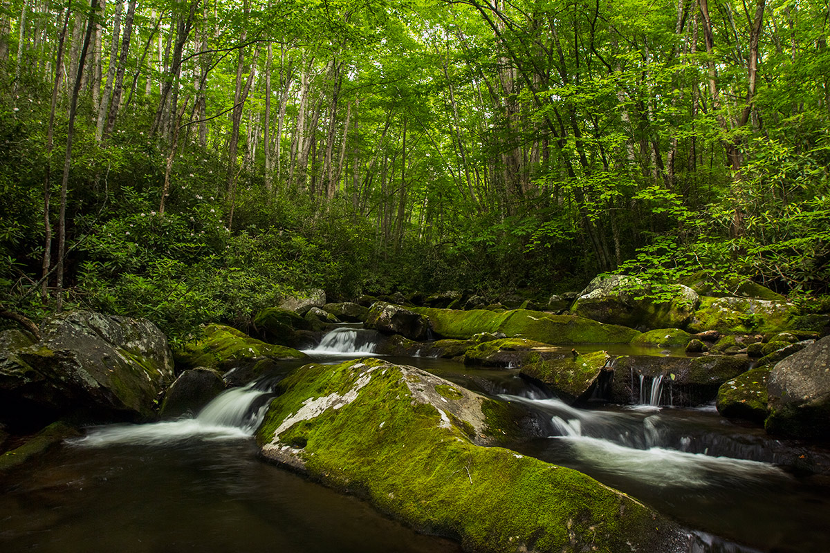 Waterfall Photograph