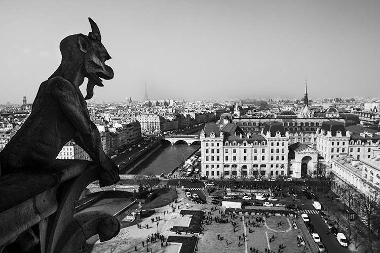 Notre Dame Cathedral Gargoyles Black and White